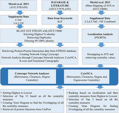 Delineating the Plausible Molecular Vaccine Candidates and Drug Targets of Multidrug-Resistant Acinetobacter baumannii